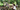Seven members of the indigenous South American Kogi community sitting and standing in the forest of the Sierra Nevada de Santa Marta mountain range in Colombia
