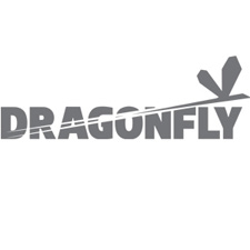 Dragonfly logo